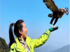 全民助力·天门鹰飞