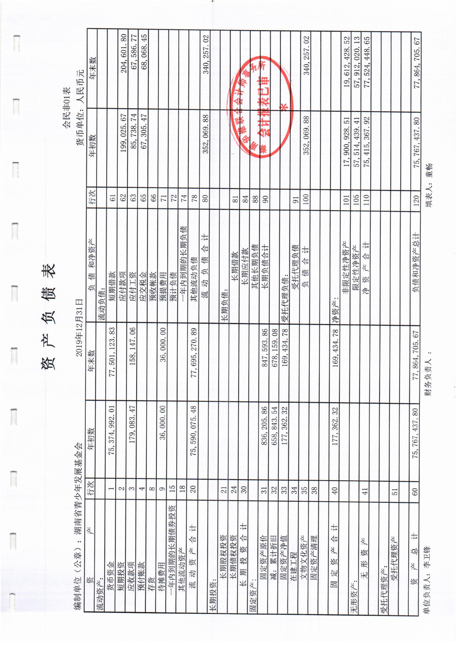 2019年审计报告_05