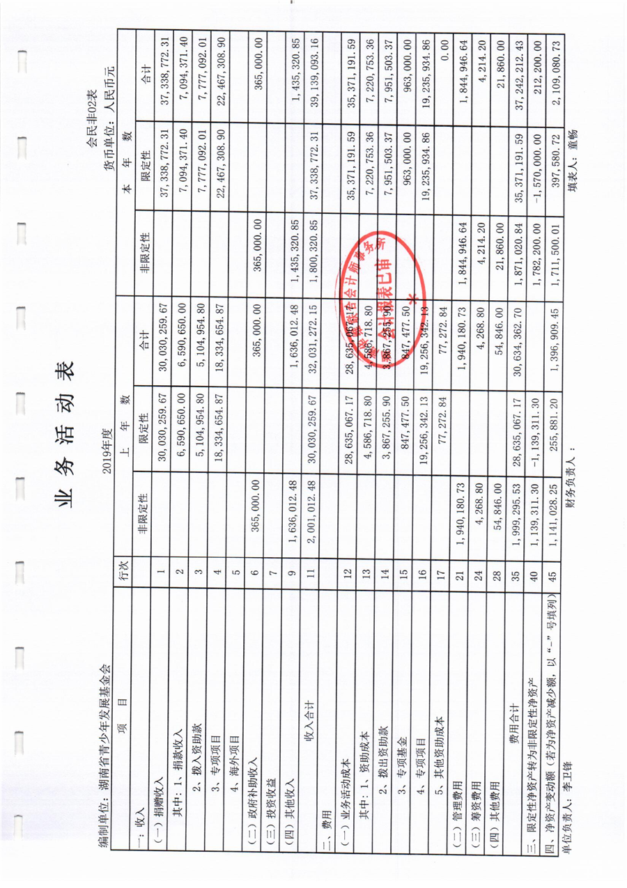 2019年审计报告_06