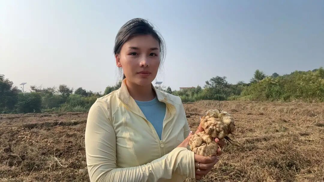 微信图片_2026-09-17_101848_553 微信图片_2026-09-17_101848_553